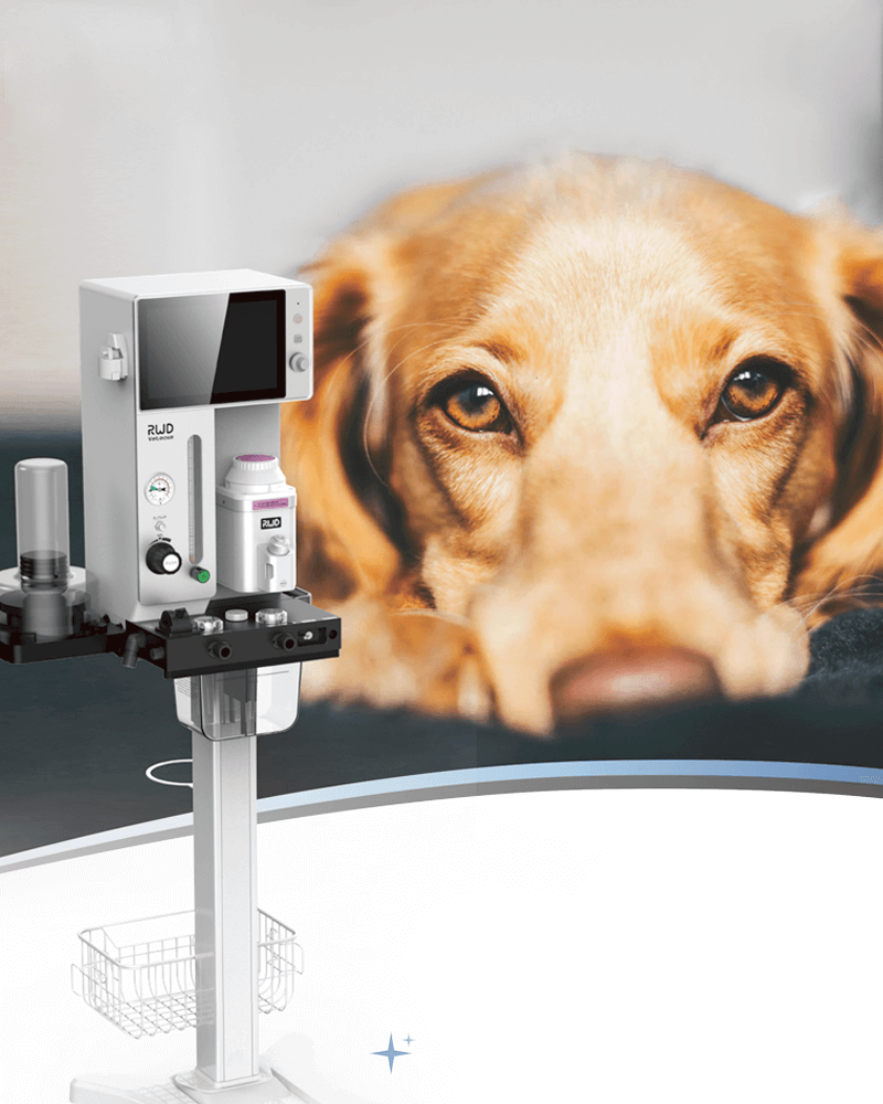 Máquinas de anestesia veterinaria RWD