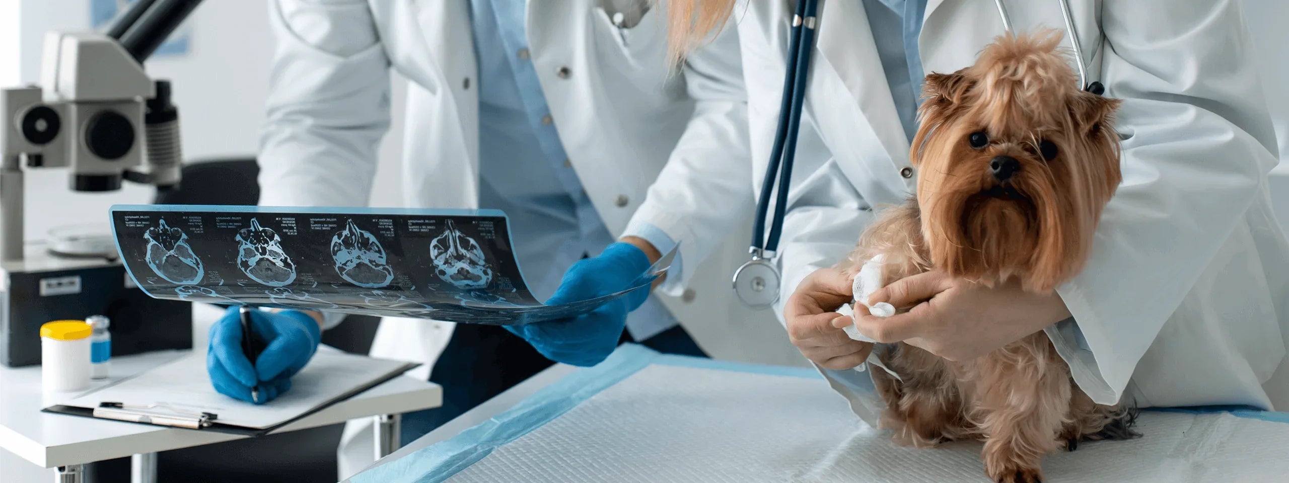 Equipos de rayos X veterinarios