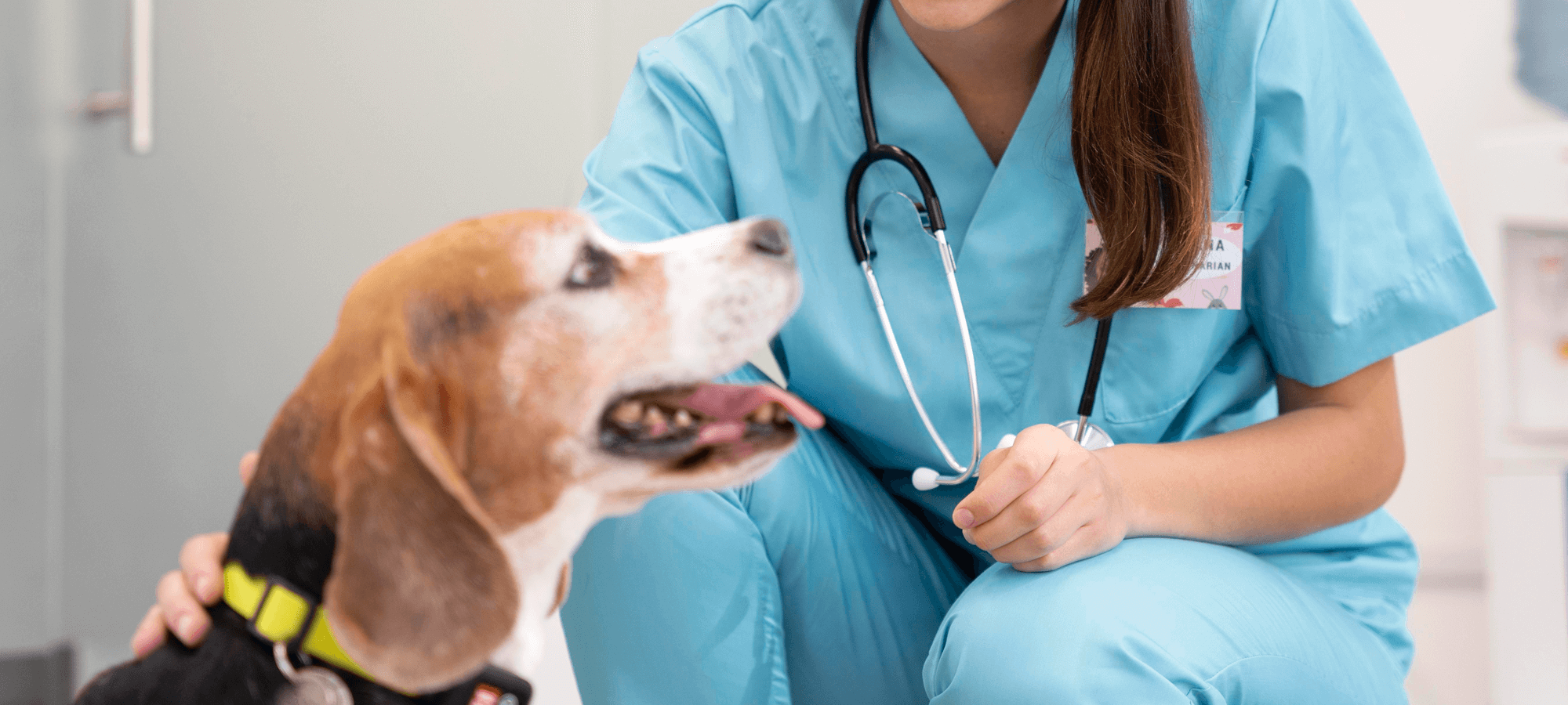 Lámparas Quirúrgicas