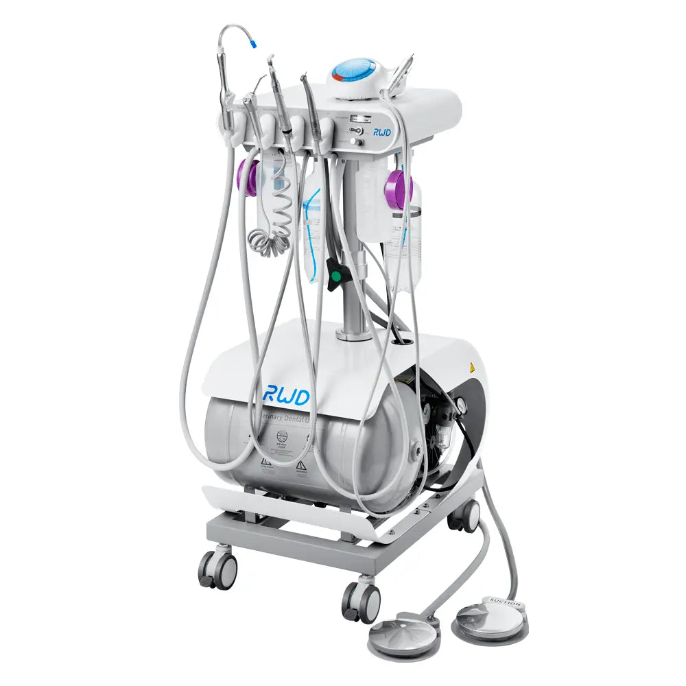 Máquina Dental D-Pro RWD