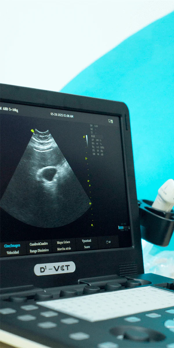 Ecógrafos veterinarios Vinno disponibles en Santiago
